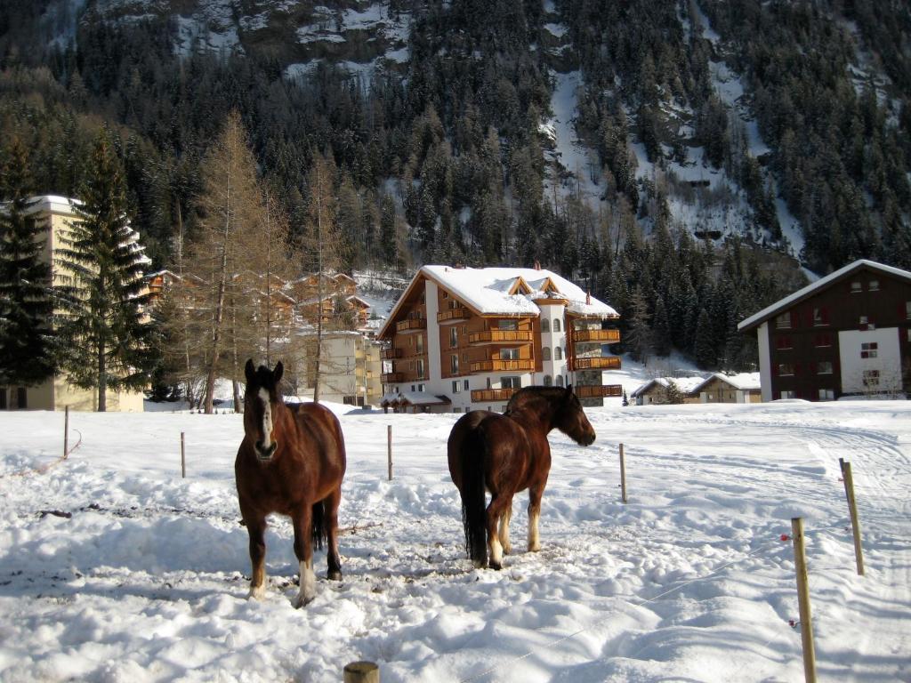 Residence Golf C 21 Leukerbad Esterno foto